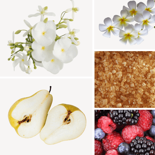 Preview: Duftnoten: Gardenie, Fragipani, Birne, brauner Zucker, rote Beeren